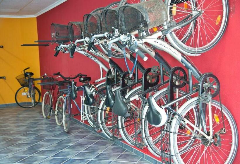 Номер Стандарт, Amoros