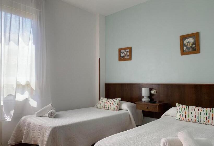 スタンダードルーム, Arena