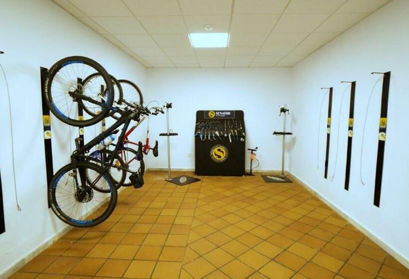 스탠다드 룸, Playadulce