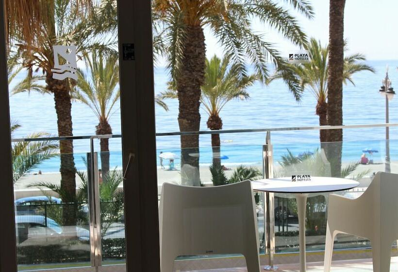 스탠다드 룸, Playadulce