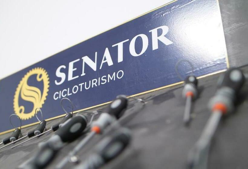 스탠다드 싱글 룸, Playadulce