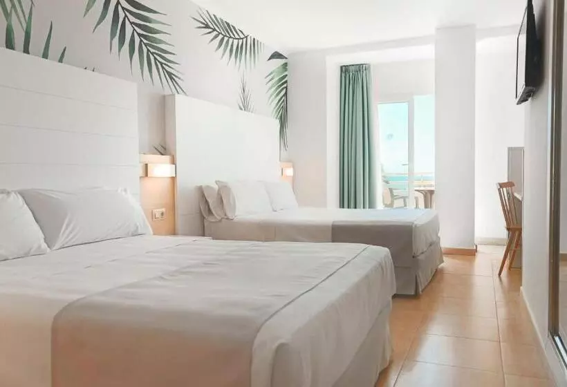 ファミリールーム, ALEGRIA Florida & Spa