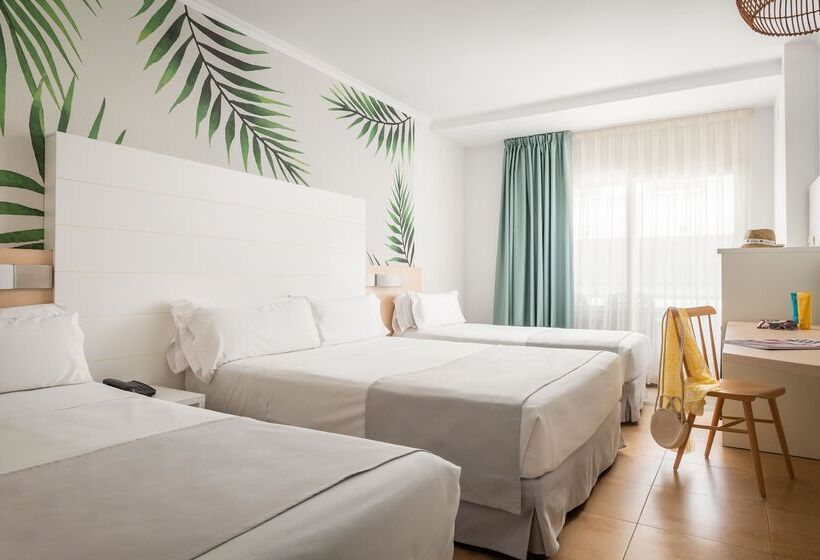 패밀리 룸, ALEGRIA Florida Park