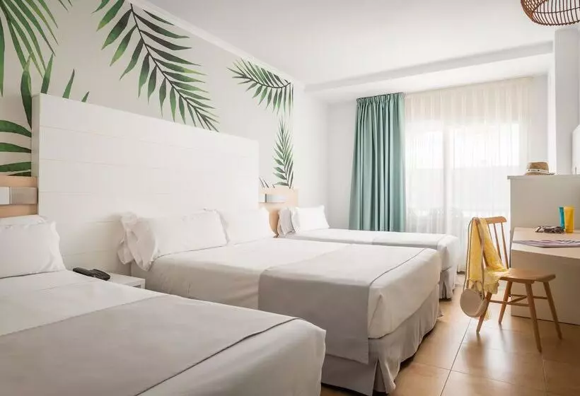 ファミリールーム, ALEGRIA Florida & Spa