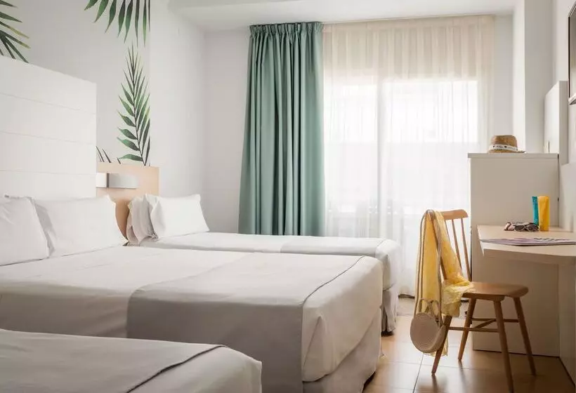 ファミリールーム, ALEGRIA Florida & Spa