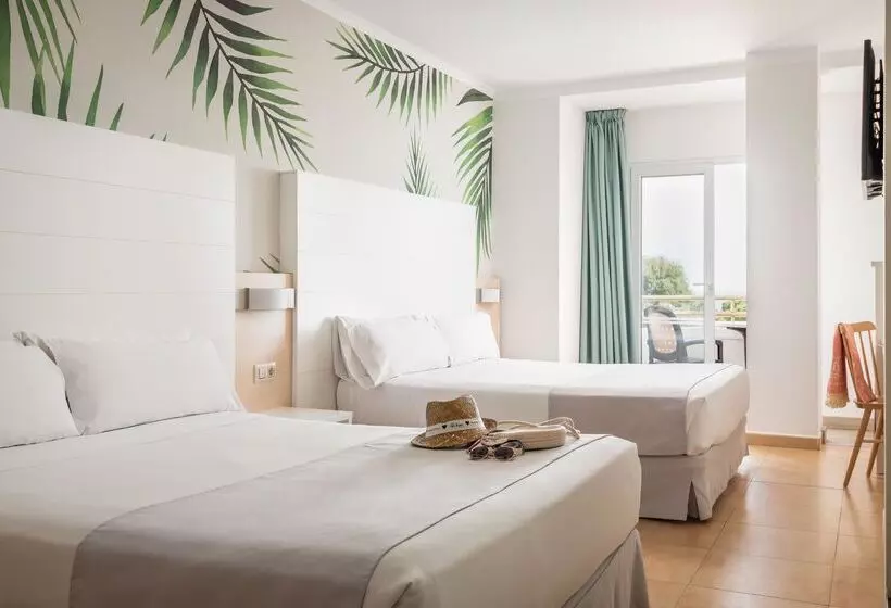 ファミリールーム, ALEGRIA Florida & Spa