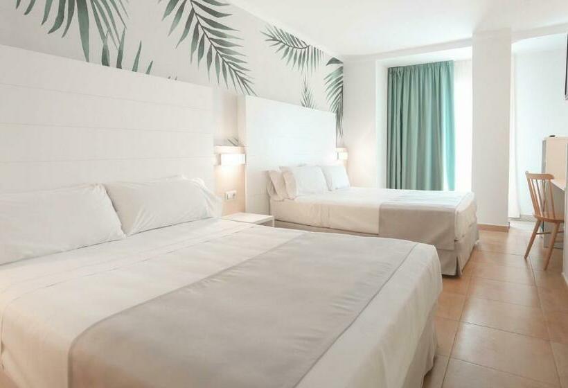 패밀리 룸, ALEGRIA Florida Park