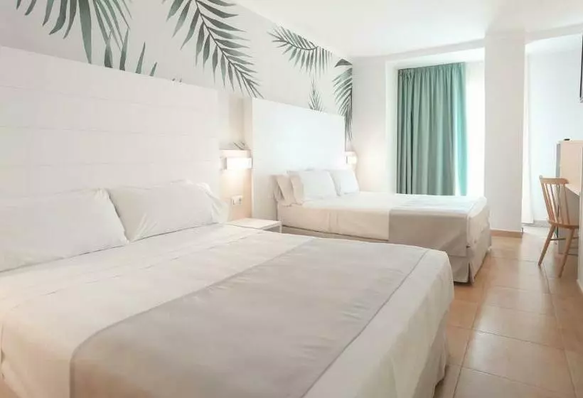 ファミリールーム, ALEGRIA Florida & Spa