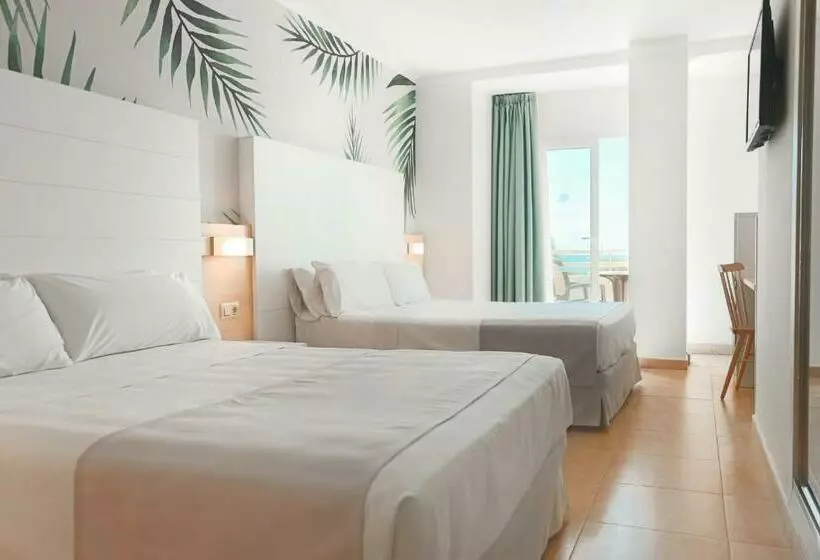 ファミリールーム, ALEGRIA Florida & Spa