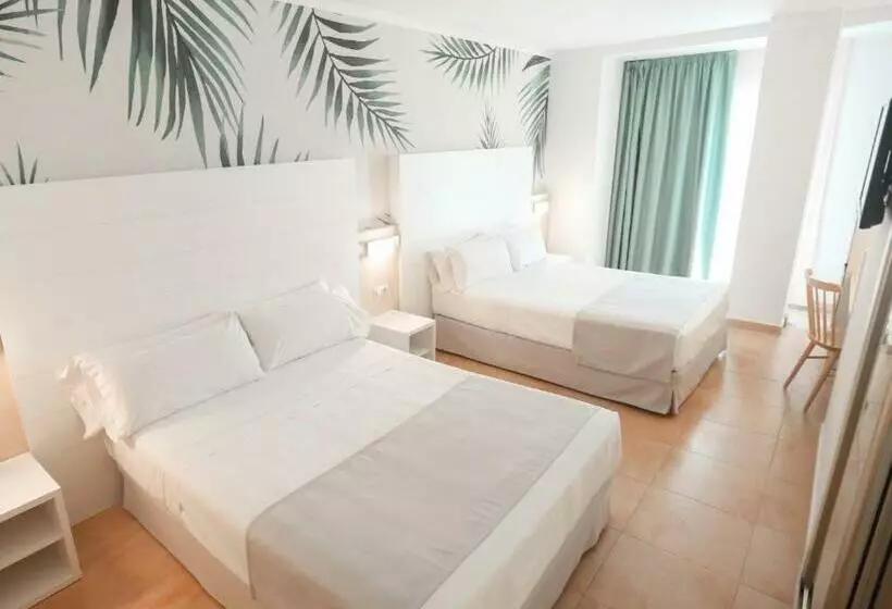 ファミリールーム, ALEGRIA Florida & Spa