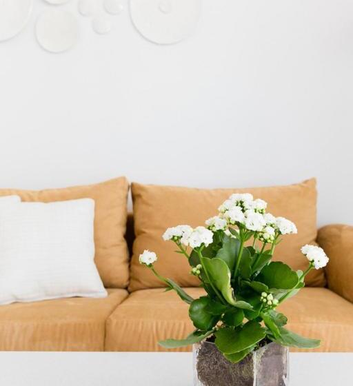 سوییت جونیور با چشم‌انداز دریا, Myseahouse Flamingo - Adults Only 4* Sup