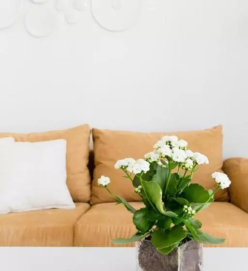 سوییت جونیور با چشم‌انداز دریا, Myseahouse Flamingo - Adults Only 4* Sup