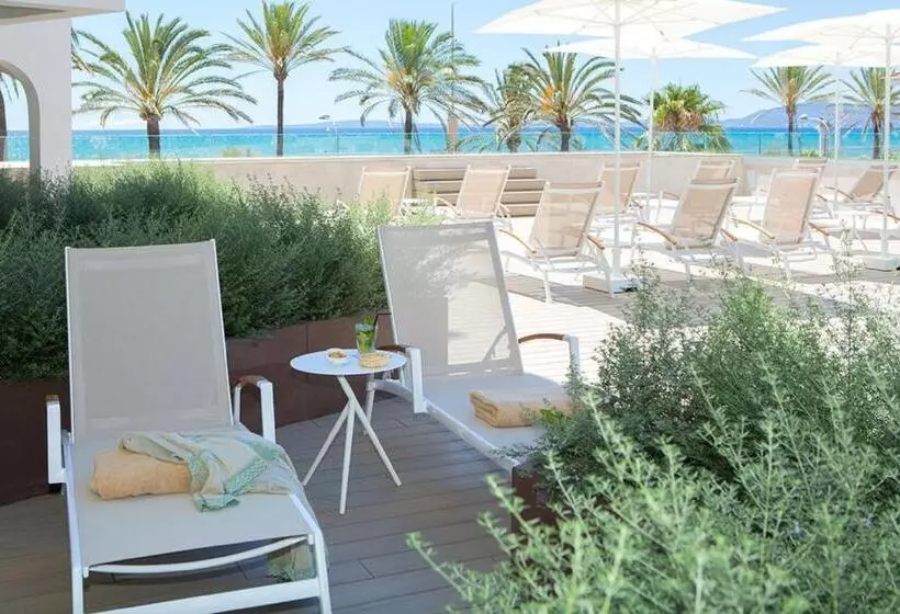 اتاق سوپریور, Myseahouse Flamingo - Adults Only 4* Sup