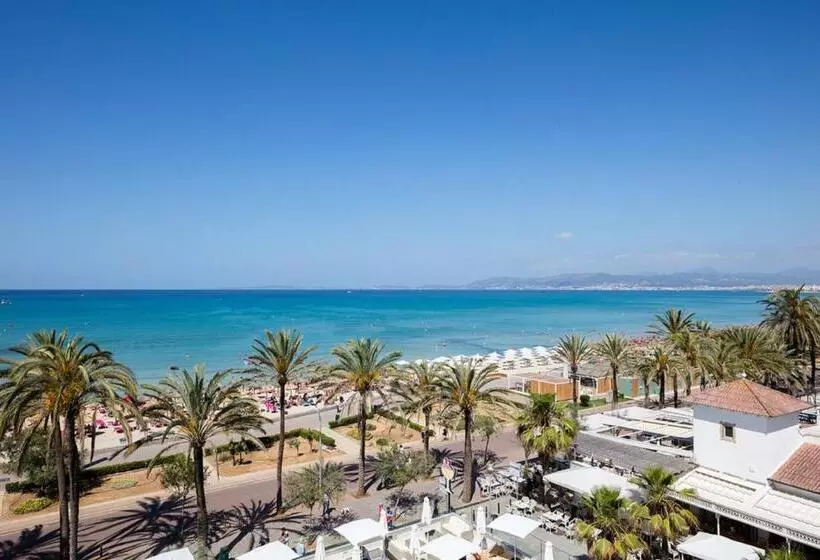 سوییت جونیور با چشم‌انداز دریا, Myseahouse Flamingo - Adults Only 4* Sup