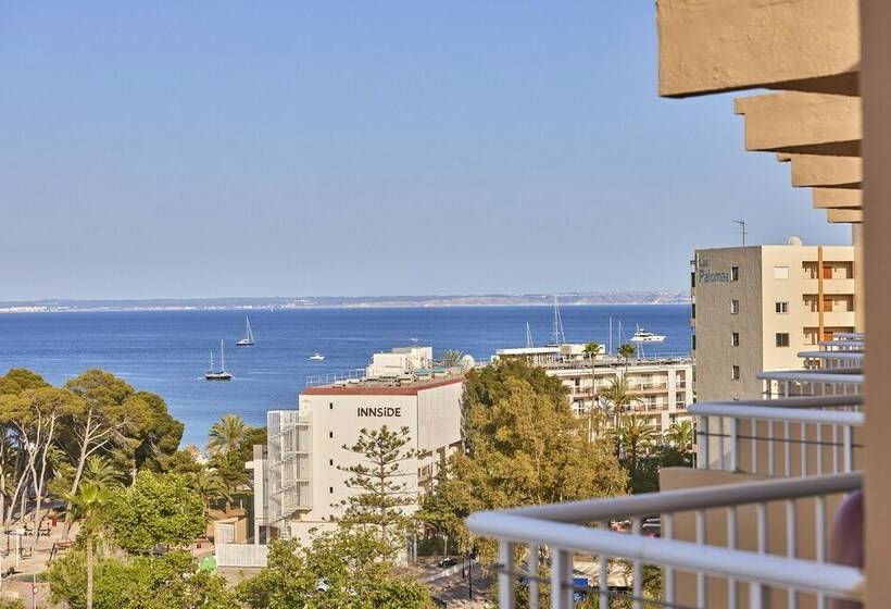 غرفة قياسية, tent Palmanova