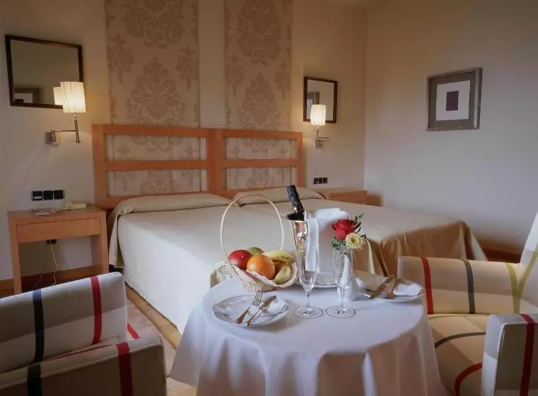 اتاق استاندارد, Parador De Vic-Sau