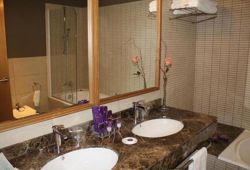 اتاق استاندارد, Parador De Vic-Sau