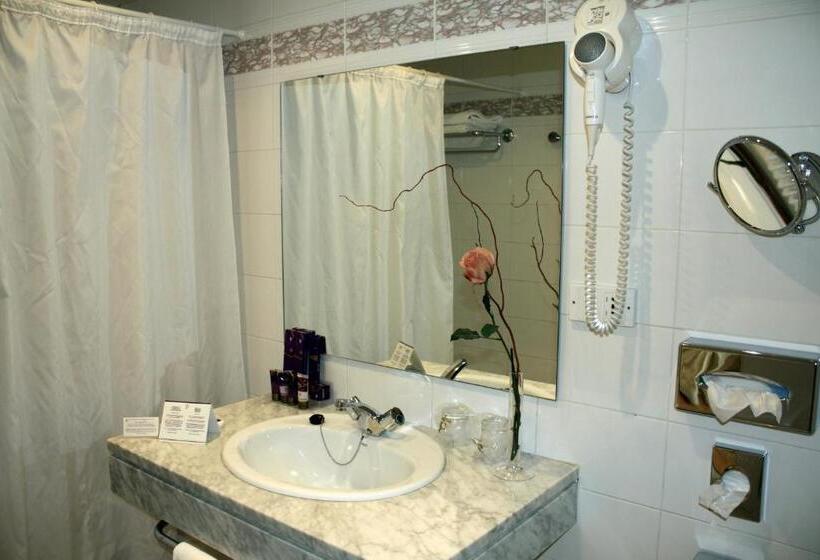 اتاق استاندارد, Parador De Vic-Sau