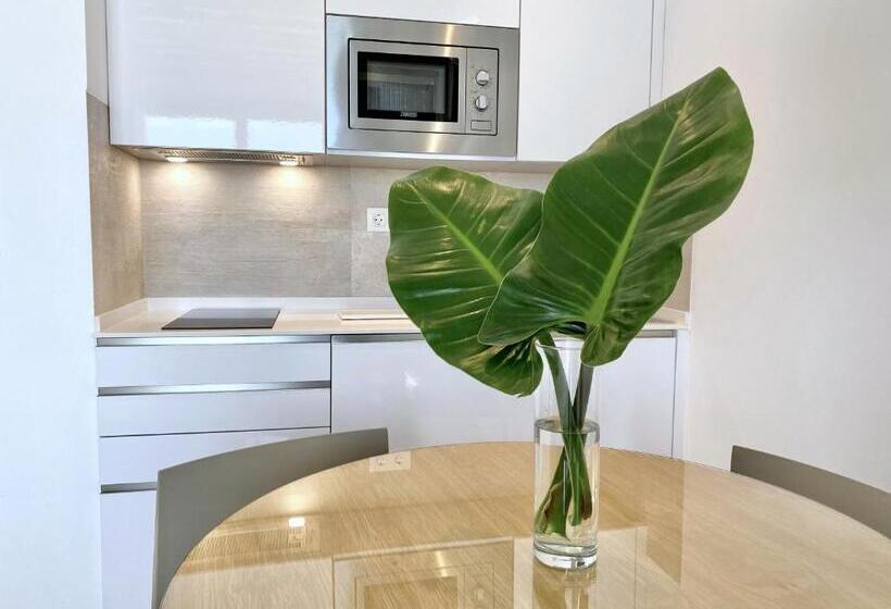 带海景的标准工作室, Apartamentos Marina Luz