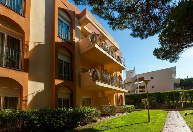 带1个卧室的公寓, Aparthotel Las Dunas