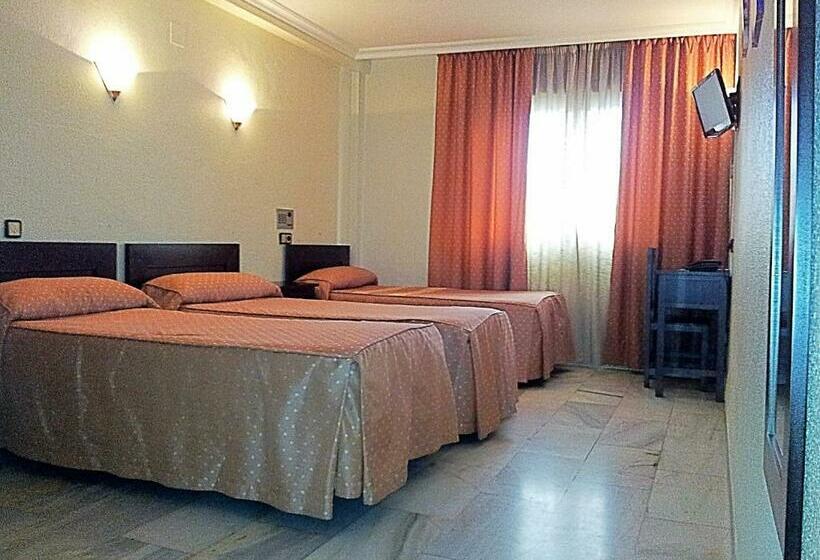 اتاق استاندارد سه نفره, Averroes