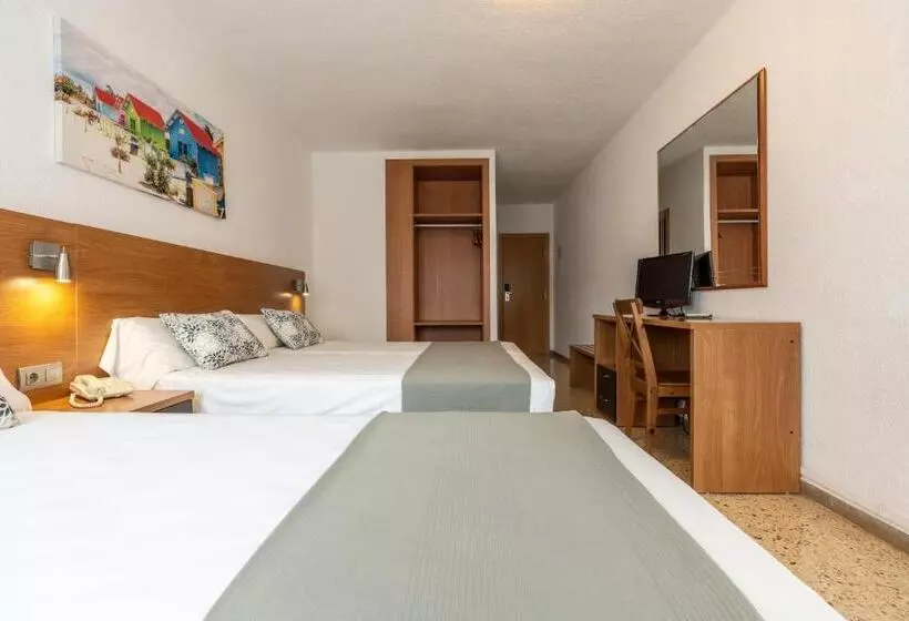 Standard Kolmen Hengen Huone, Ecoavenida