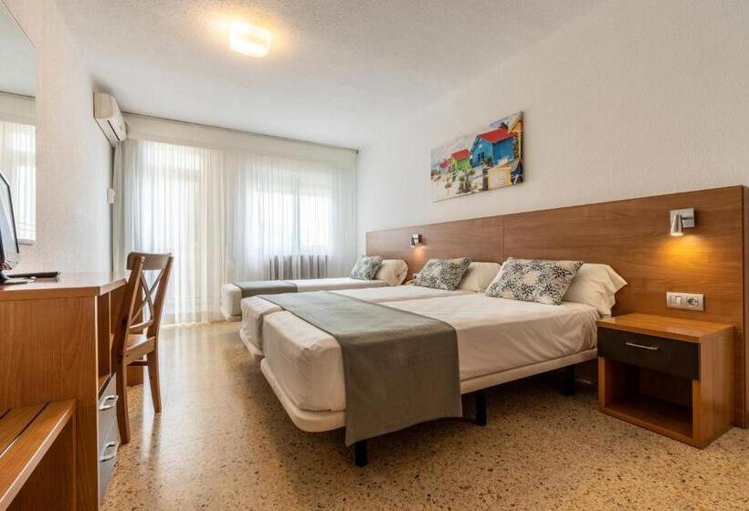 标准三人间, Ecoavenida