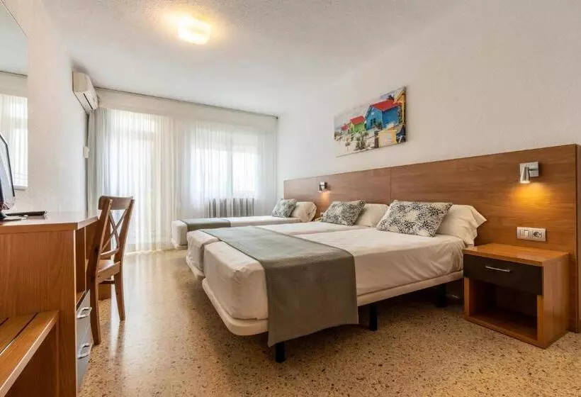 Standard Kolmen Hengen Huone, Ecoavenida