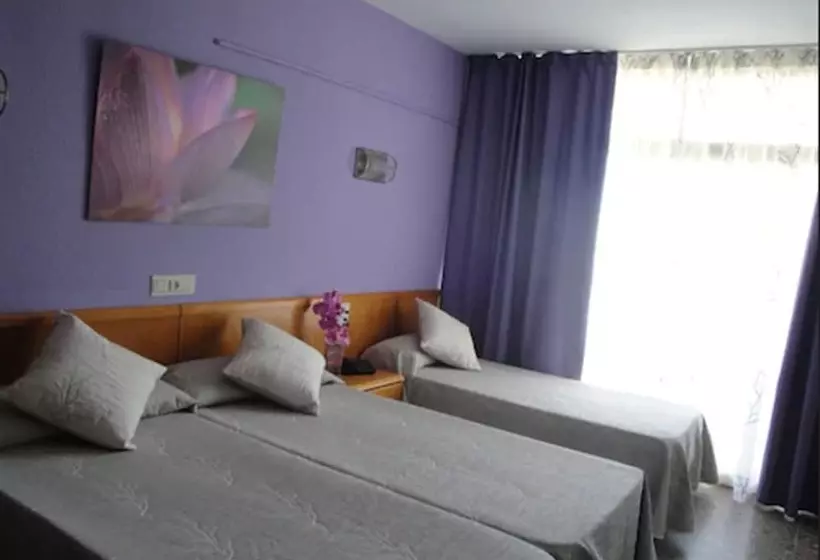Quarto Triplo Standart, Esplendid