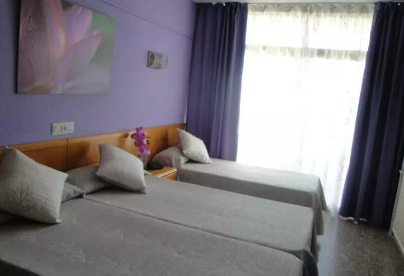 Quarto standard, Esplendid
