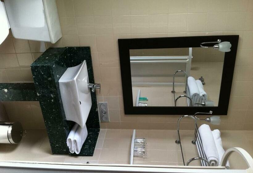 اتاق استاندارد یک نفره, Itaca Colon By Soho Boutique