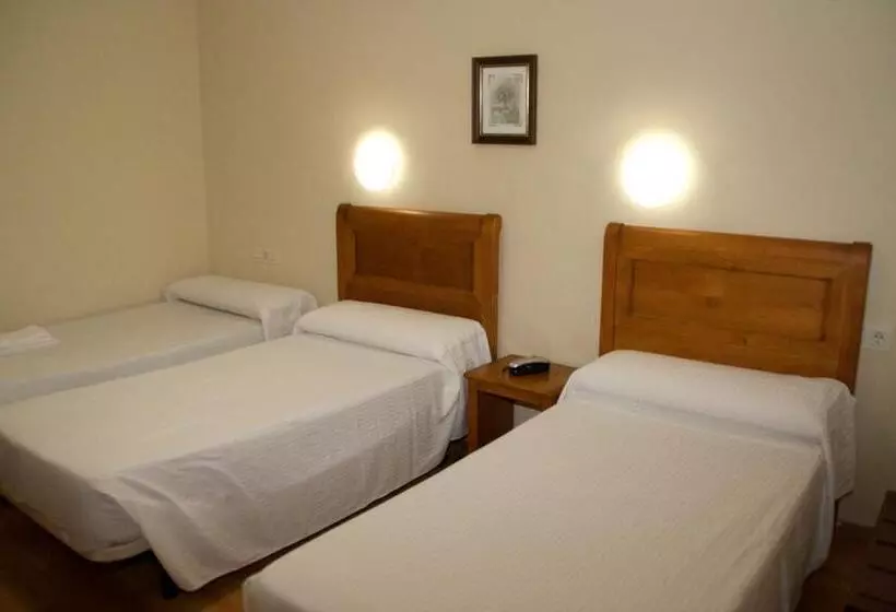 Habitación Estándar, Anfora