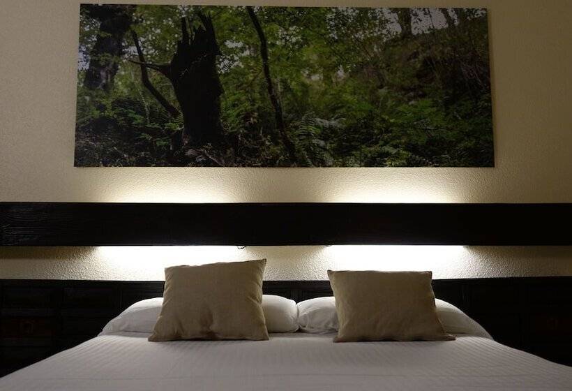 חדר סטנדרט, Baztan