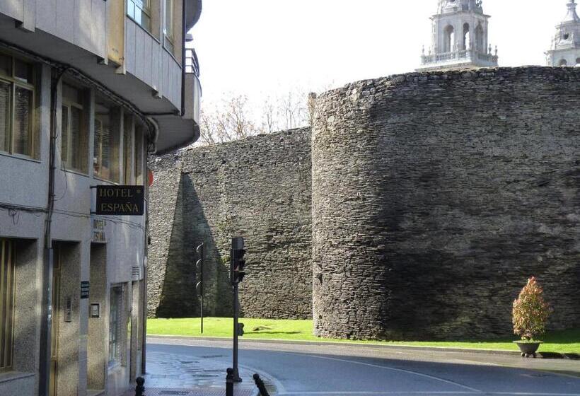 스탠다드 싱글 룸, España