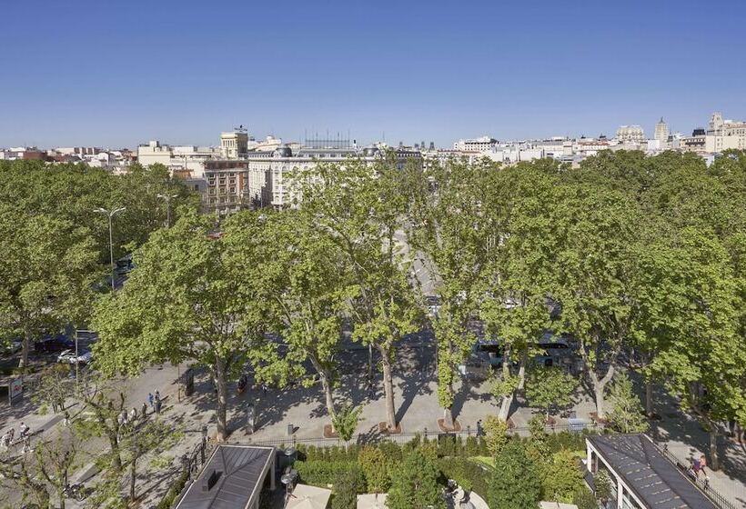 اتاق استاندارد, Mandarin Oriental Ritz, Madrid