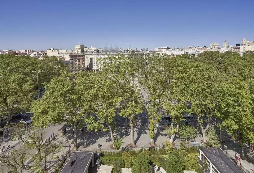 اتاق استاندارد, Mandarin Oriental Ritz, Madrid