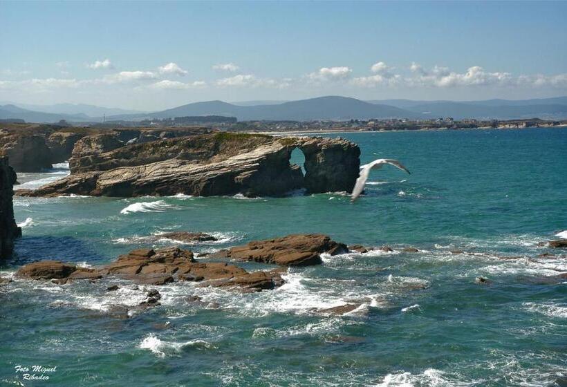 חדר סטנדרט, Santa Cruz