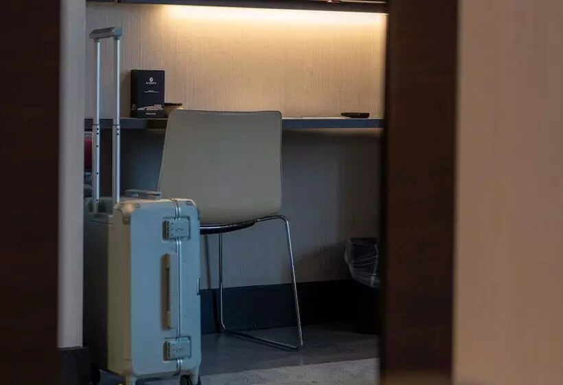 اتاق استاندارد, Novotel Madrid Center
