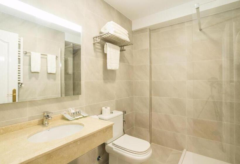 Superior Room with Terrace, Abaceria