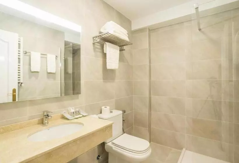 Superior Room with Terrace, Abaceria
