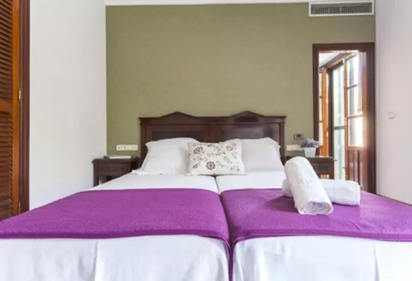 Habitación Estándar, Baco