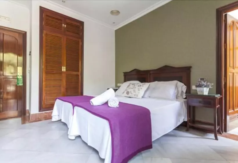 Habitación Estándar, Baco