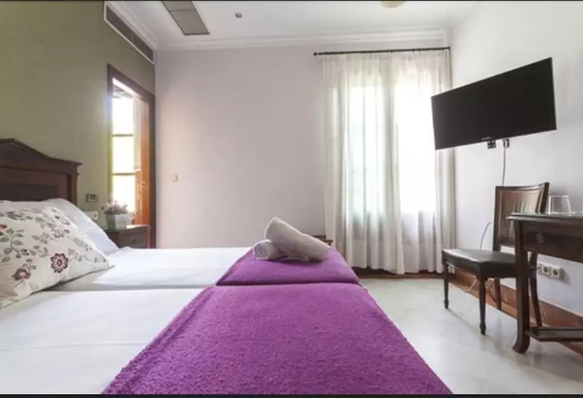 Habitación Estándar, Baco