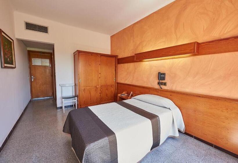 غرفة قياسية فردية, Checkin Flamingo