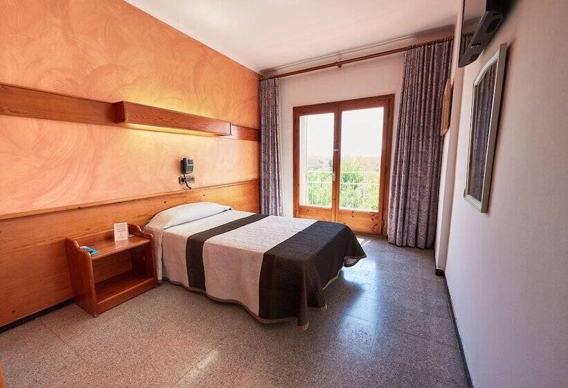 标准单人间, Checkin Flamingo