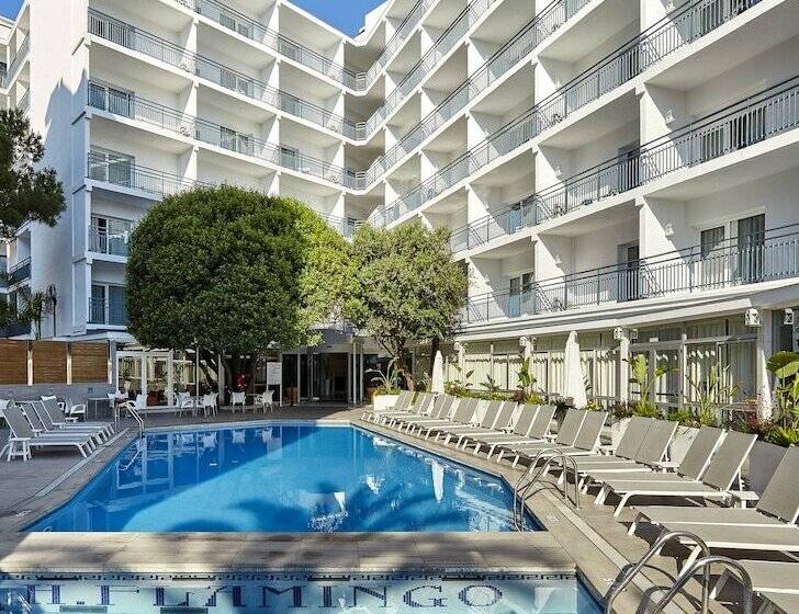 스탠다드 룸, Gran Hotel Flamingo - Adults Only