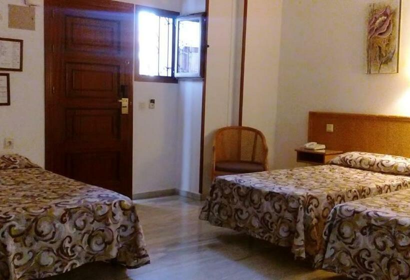 חדר סטנדרט, Ona Las Rampas