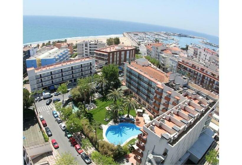 庭の見えるシングルルーム, Monica