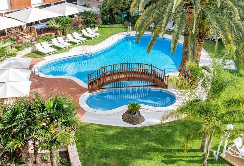 庭の見えるシングルルーム, Monica