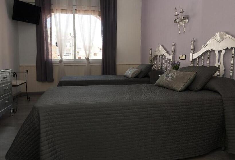 エコノミールーム, Salomé